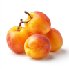 u3957891481_Fresh_apricots_realistic_product_photo_on_white_b_f1f20055-1f1a-4ea5-8dbf-c9b6f10c9a44_1