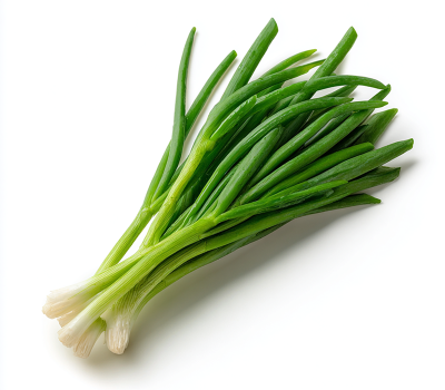 u3957891481_Fresh_green_onions_realistic_product_photo_on_whi_da78749f-8cfd-4c2d-8f4b-3bebd4c15ba2_3